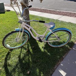 Schwinn Cruiser