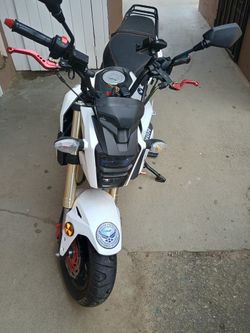 2024 Venomx20 125 2024