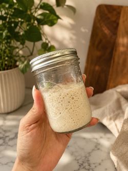 Active Homemade Sourdough Starter 🍞