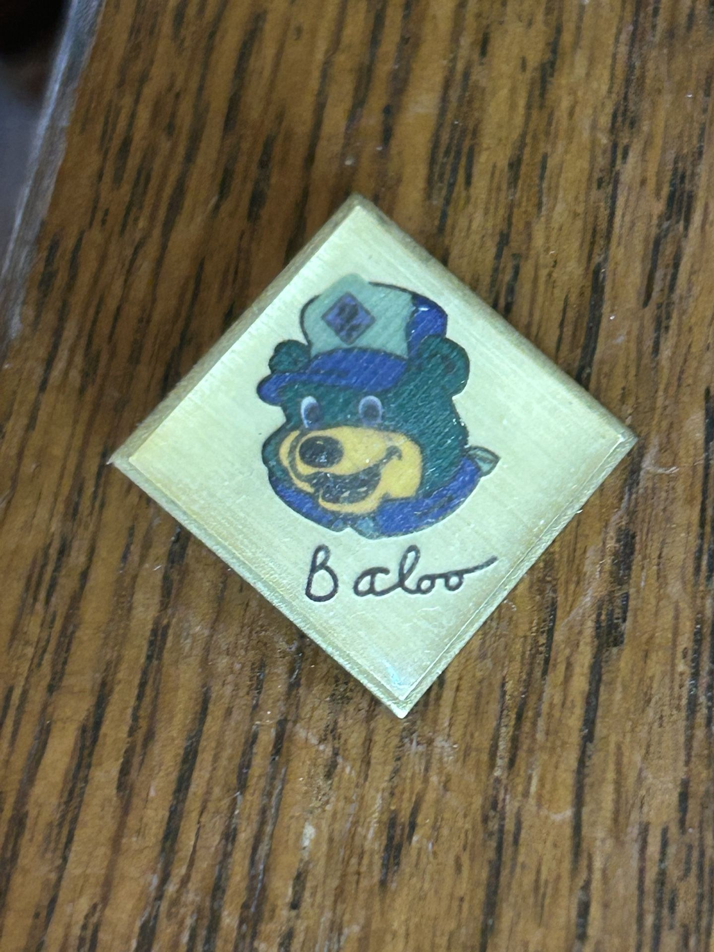 Vintage Boy Scouts Baloo Pin