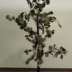 Lightshare 6FT Lighted Eucalyptus Tree