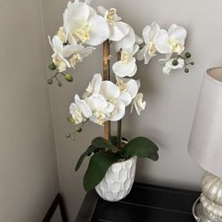 Faux White Orchid