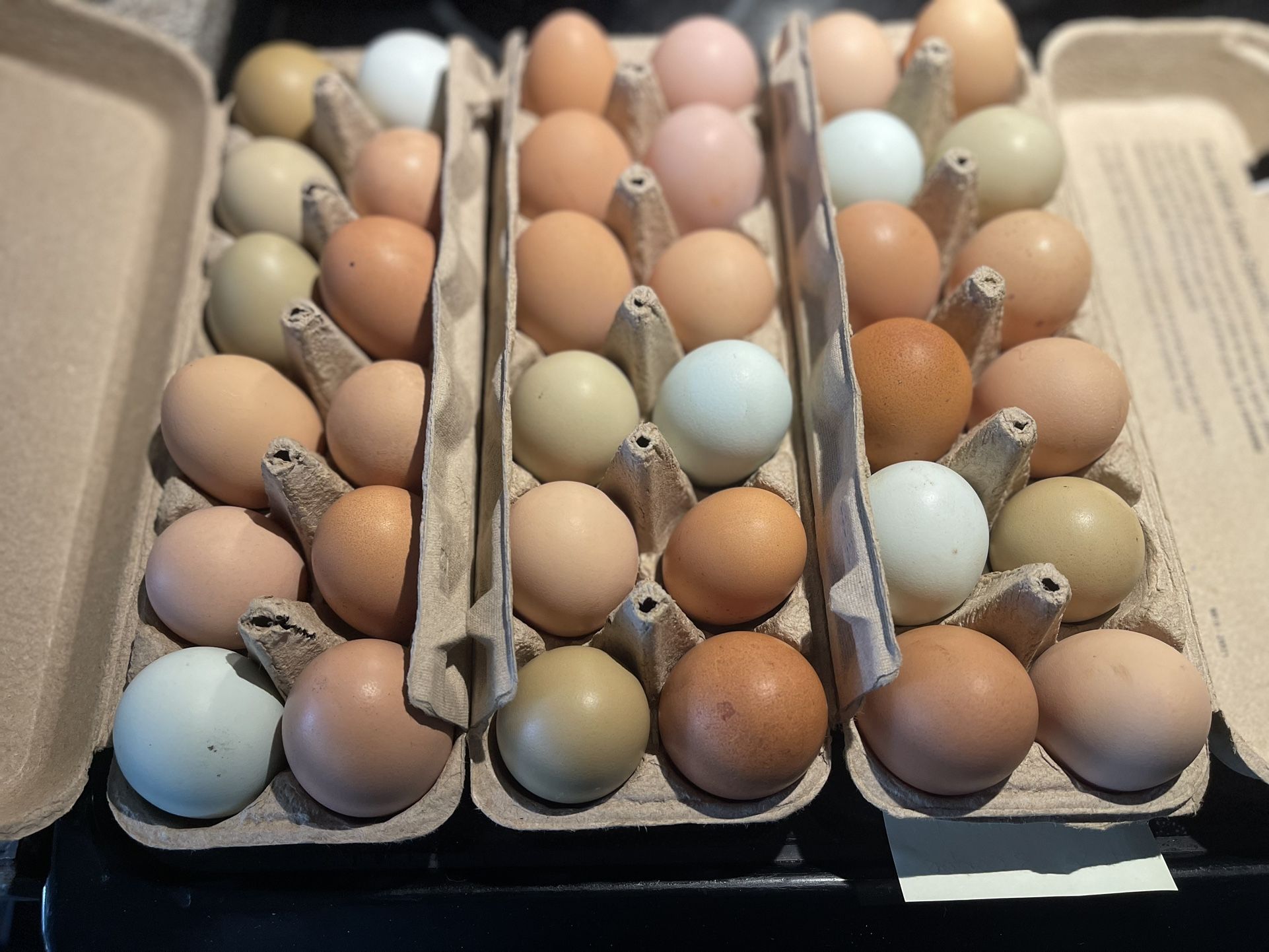 Farm Fresh Eggs Dozen