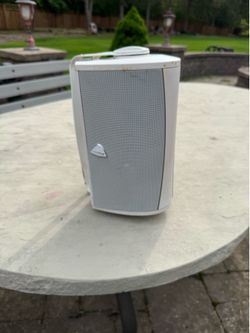 Definitive outdoor speaker