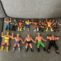 Wrestling Action Figures