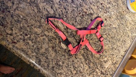 Dog Harness Size Small New 