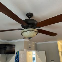 Ceiling fan
