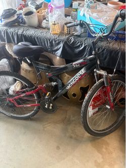 Mongoose Mountain Bike
