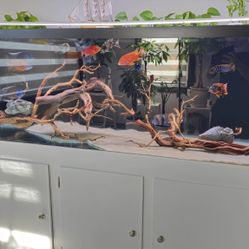 180 GALLON TANK FOR SALE! 