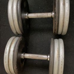 Prostyle Adjustable Dumbbell 20-63 Lb. Total 126 Lbs 