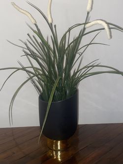 Artificial Plant In The Modern Black Ceramic Pot With The Gold Accent H20”