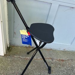 Cane With Folding Seat