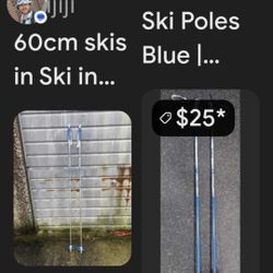 Classic Ski Poles 