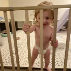 Extendable Baby Gate