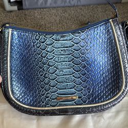 Brahmin purse