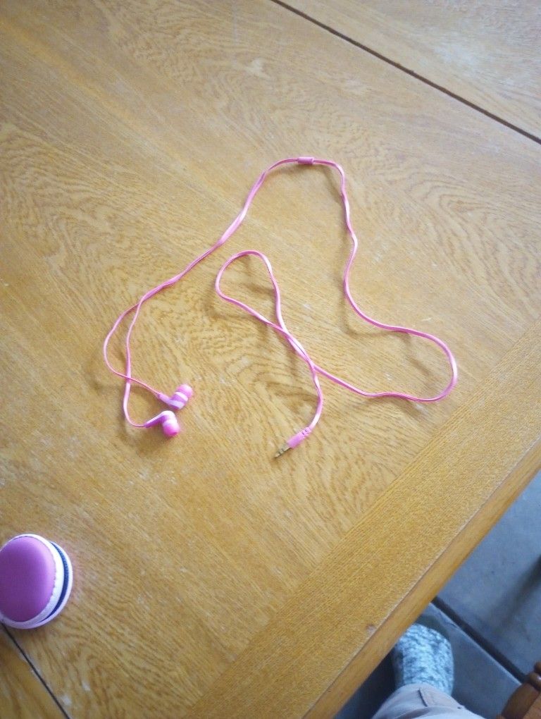 It Is Skull Candy Wired Ear Buds