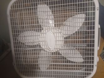Fan