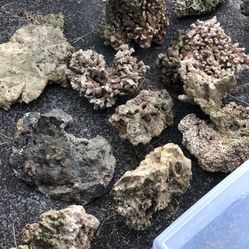 Dry Aquarium Rock