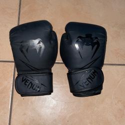 8oz Venom Boxing Gloves Everlast Boxing Gloves Oz 8 Mitts Everlast Boxing Gloves 14oz Fighting 10oz Boxing Gloves 