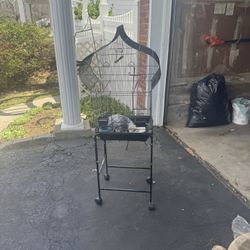 Bird Cage