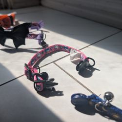 Cat Collars