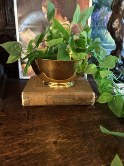 Gold Tudor bowl Cauldron planter Home Decor