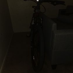 Nishiki Mountain bike Pro Sport 