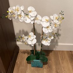 Fake orchid Plant 
