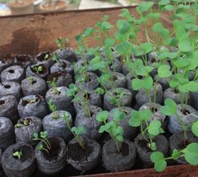 Yard garden goods