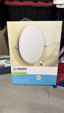 Moen mirror