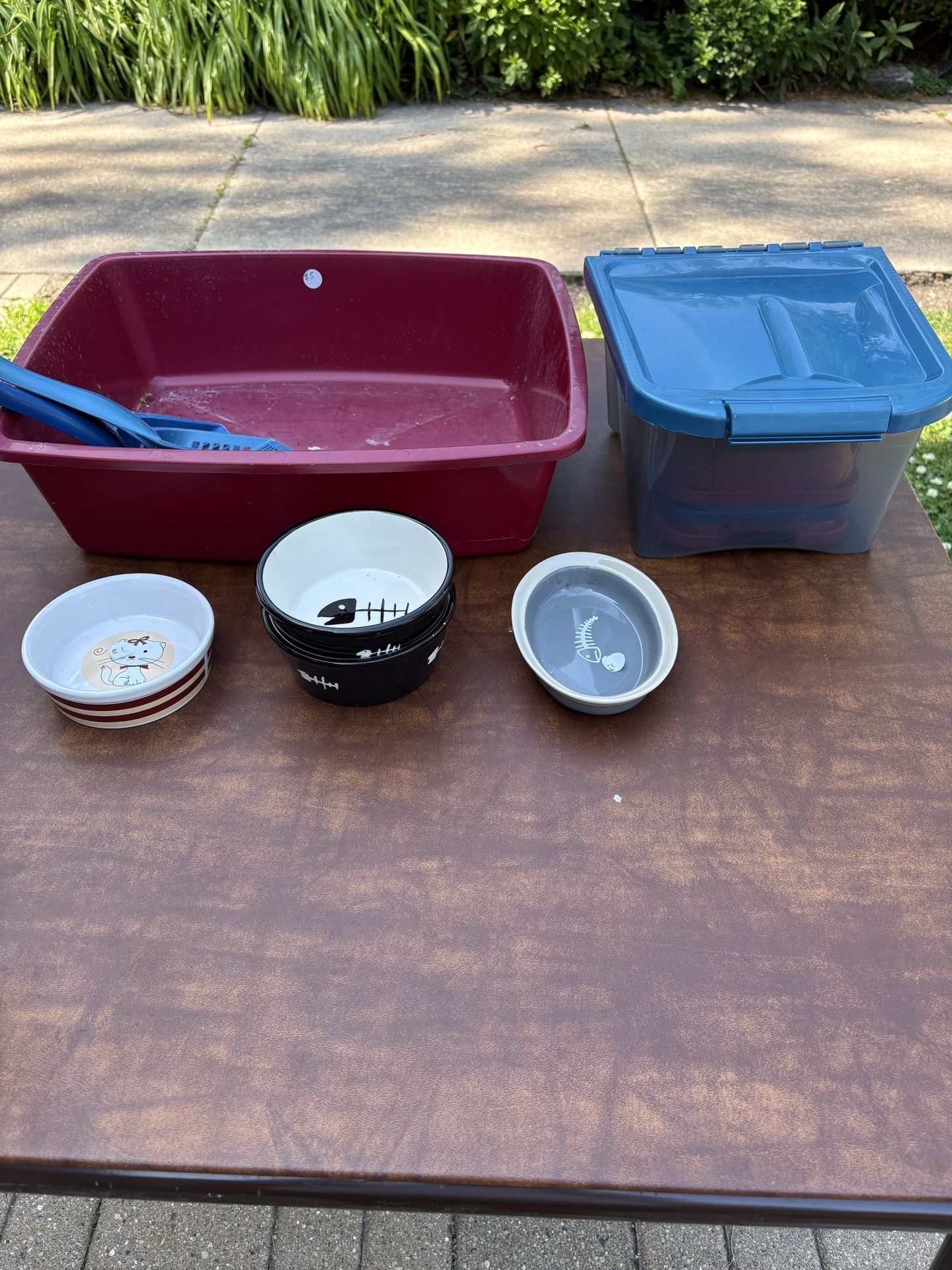 Cat Supplies