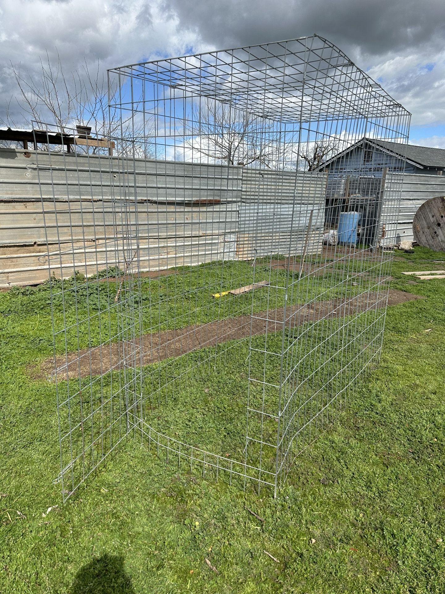 Chicken Cage