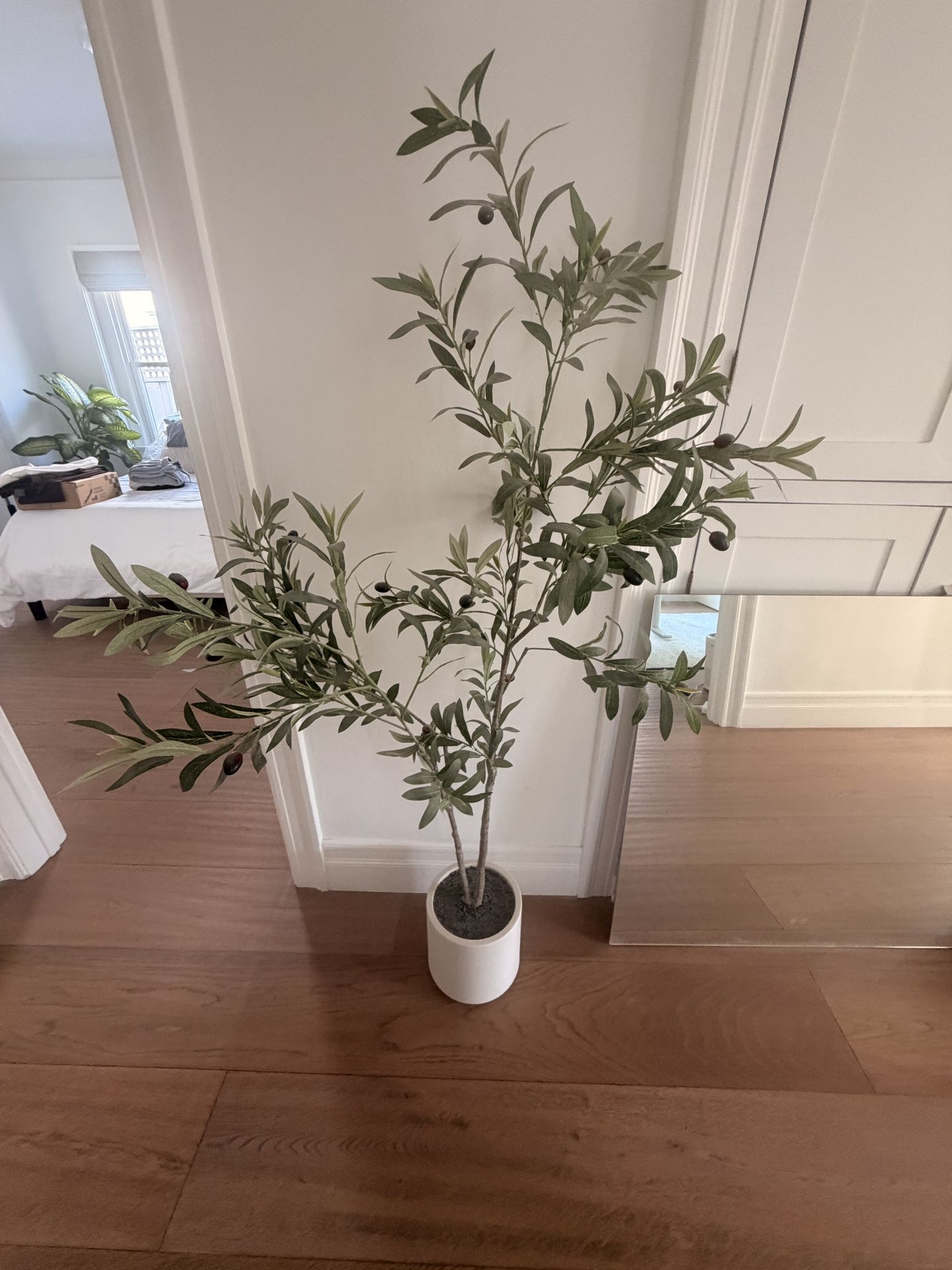 Fake Olive Tree