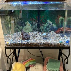 Aquarium 29 Gal. Up And Running With Nice Wrought Iron Stand With Room For Second Aquarium.  All Equipment Included 
