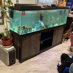 Fish Tank With Everything 