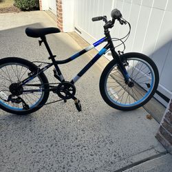 Super Nice 20’  Guardian Bikes Excellent Condition