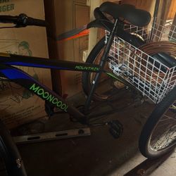 Three Wheel Bicycle New
