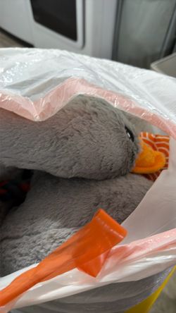 Gently used dog toys