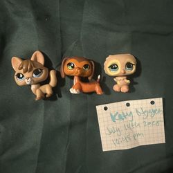Littlest Pet Shop 675 Set