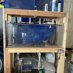 Fish Tank Set Up. One System.