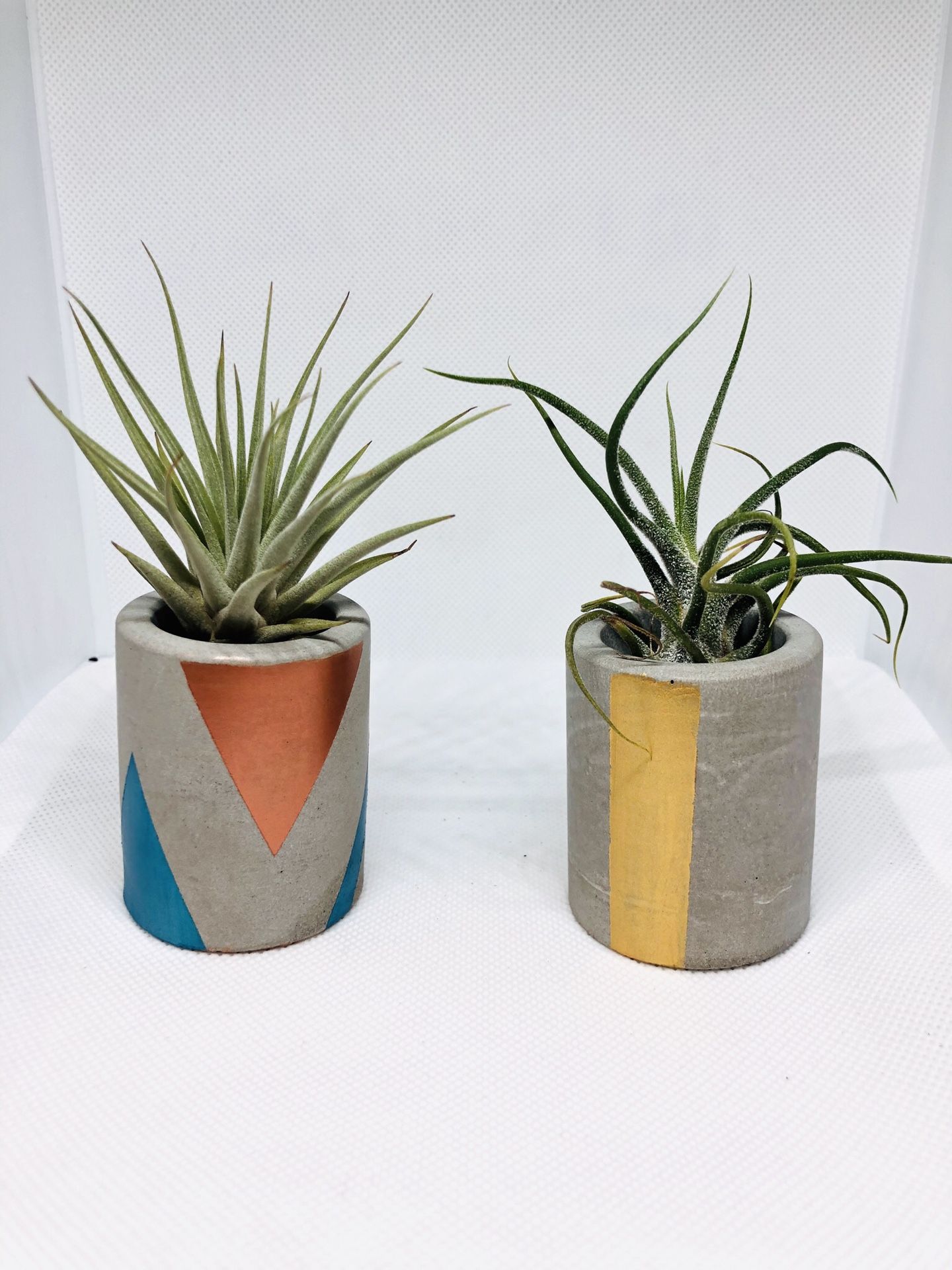 Mini Geometric Planters (set of 2)