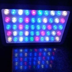Grow Light