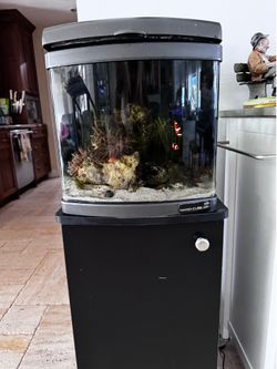 Nano Cube Fish Tanks