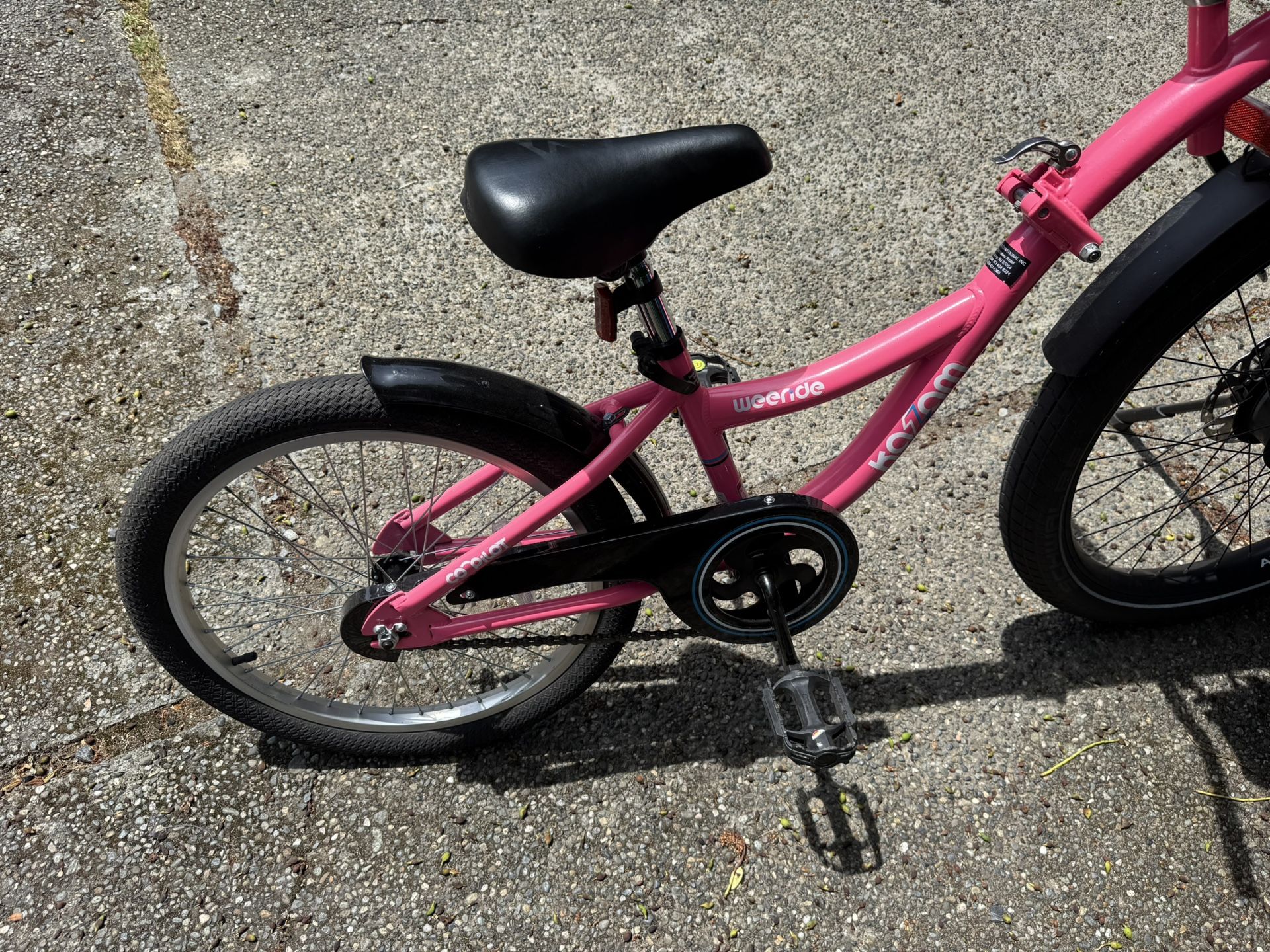 Tag Along Bike