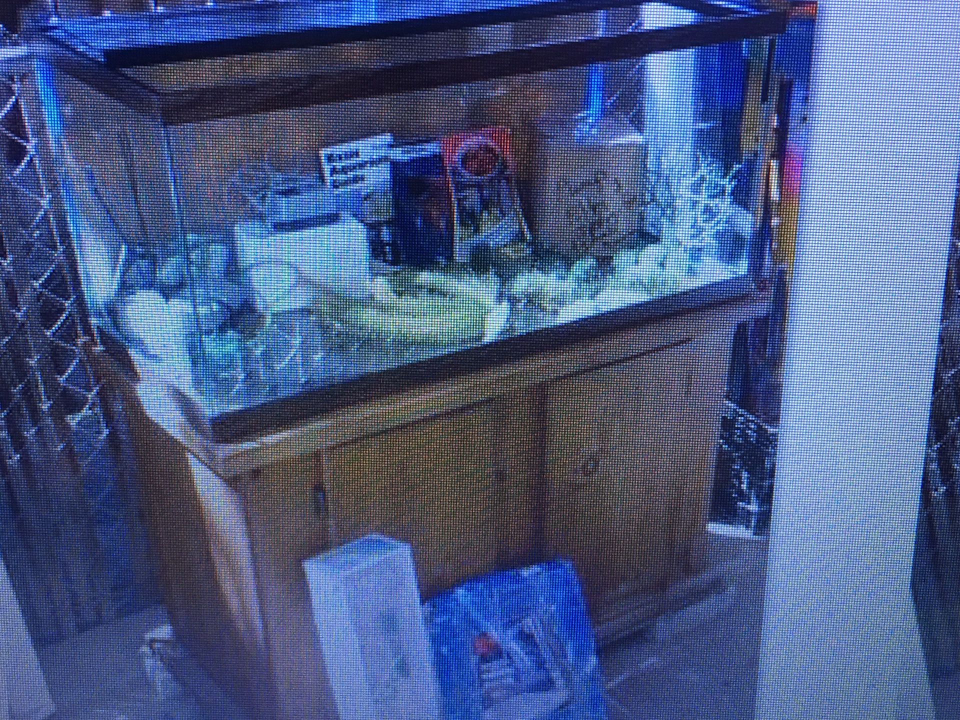 Fish tank for sale has all the supplies and pump