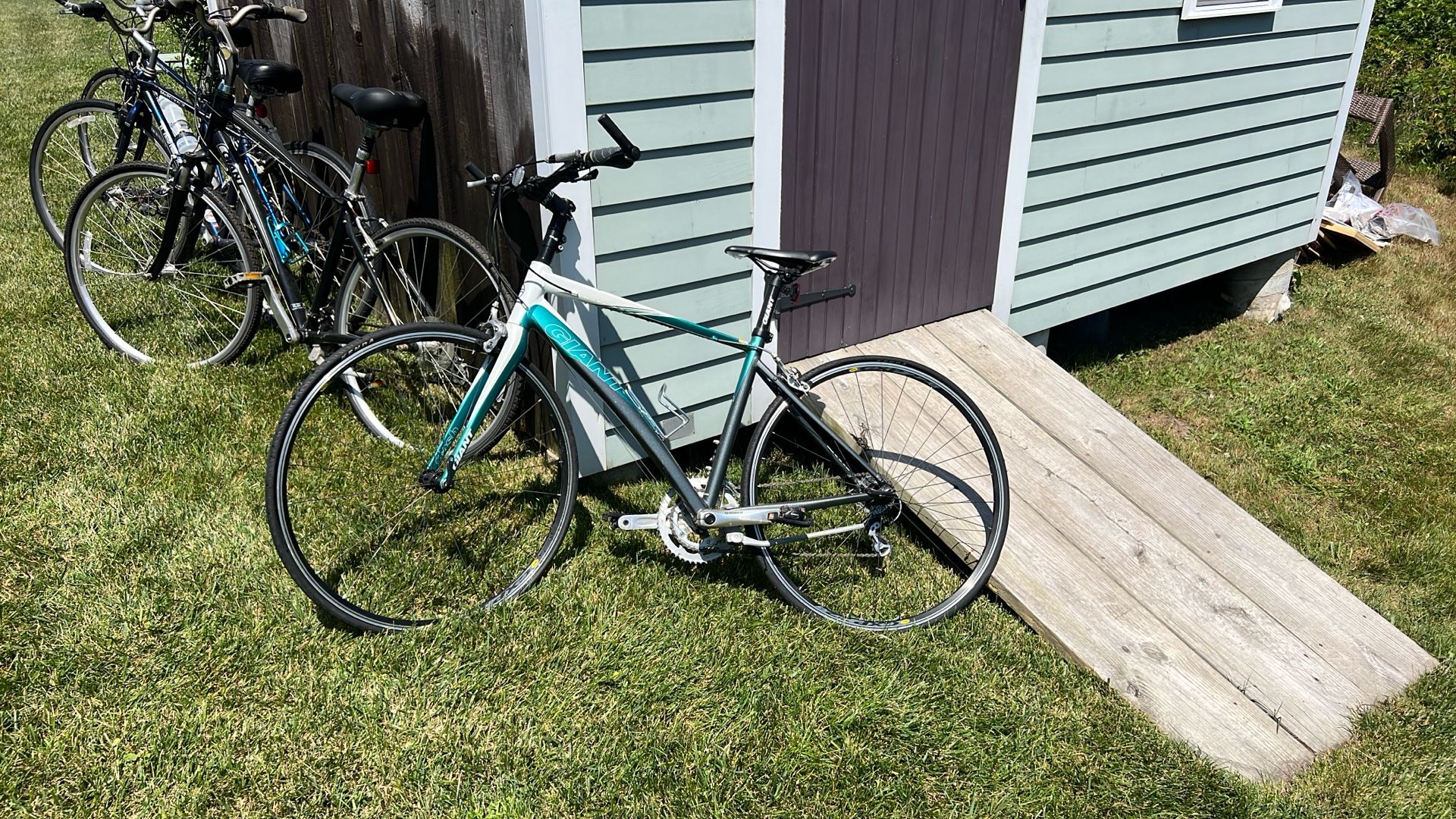 Giant Bike