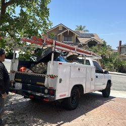 Yard Maintenance