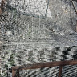 Walk In Cage $25