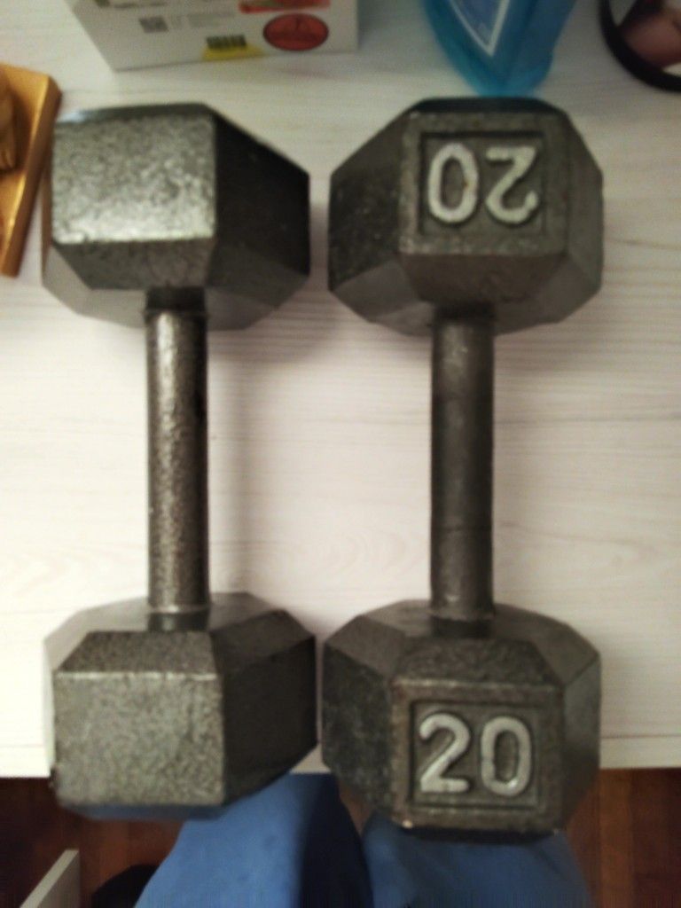 Dumbbells Set 20 Pounds