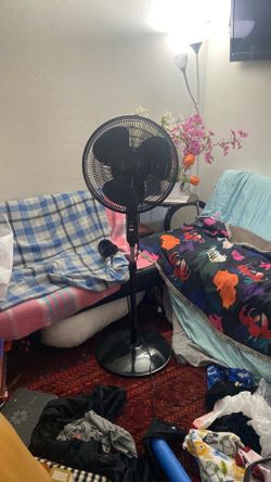 Very good black fan for summer